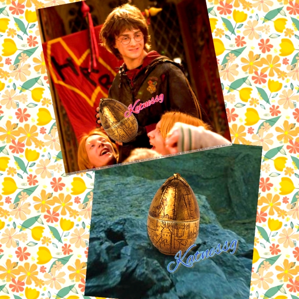 Harry potter the golden egg- The Goblet of fire